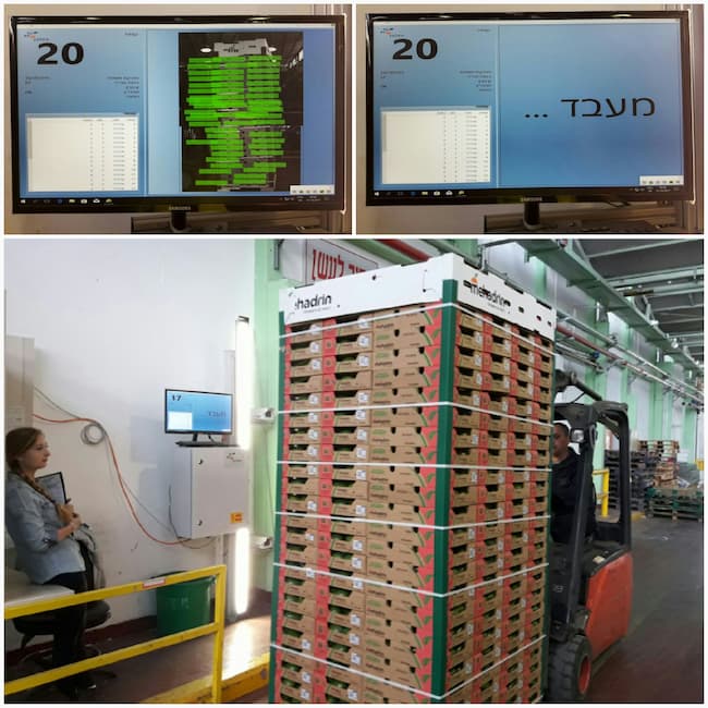 Palletisation software to achieve accuracy and visibility