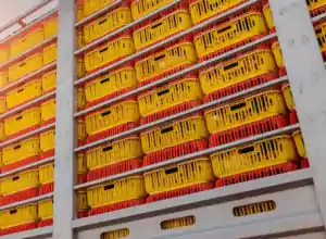 Traçabilité en temps réel de vos actifs en mouvement 