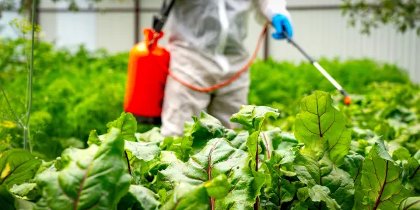 La traçabilité de bout en bout au service de la supply chain dans le secteur agrochimique