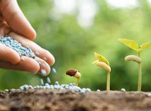 Les bonnes pratiques de traçabilité pour le secteur phytosanitaire : normes CRISTAL