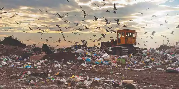 Jak widoczność łańcucha dostaw w czasie rzeczywistym wpływa na zmniejszenie marnotrawstwa żywności