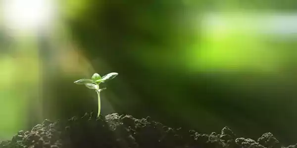 Corteva Agriscience wybiera Zetes w celu zapewnienia identyfikowalności swoich środków ochrony roślin