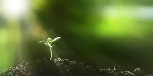 La sérialisation et l’agrégation, deux impératifs pour une traçabilité efficace et pérenne sur le secteur phytosanitaire 