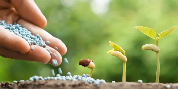 Les bonnes pratiques de traçabilité pour le secteur phytosanitaire : normes CRISTAL