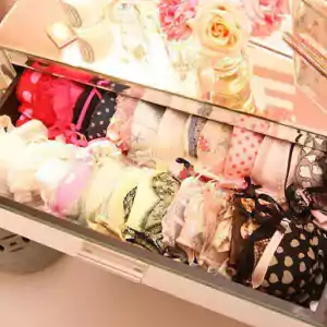 European Lingerie sector picks Zetes voice solution and benefits from ROI within 6 months